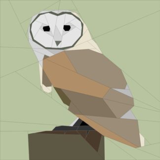 Barn Owl #2