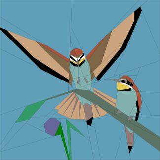 May '18 BoM Bee Eaters
