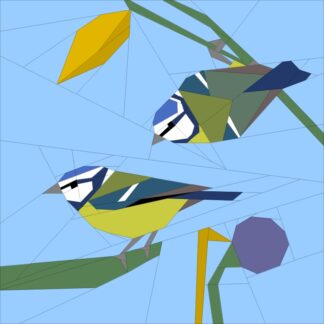 Nov. '18 BoM Blue Tit