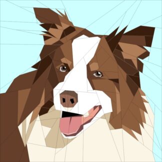 Brown Border Collie