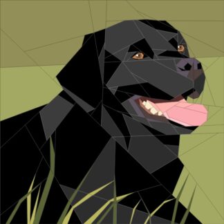 Black Lab #2