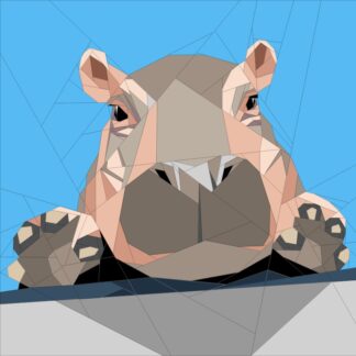 Hippo Calf
