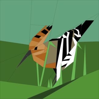 Hoopoe