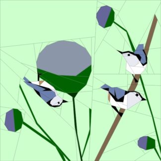 Feb. '18 BoM Nuthatch