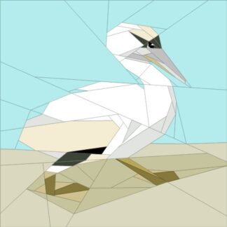 Pelican