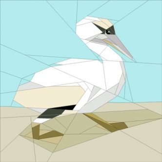Pelican