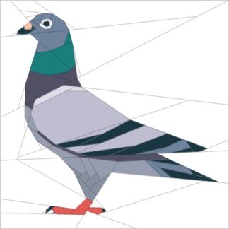 Pigeon