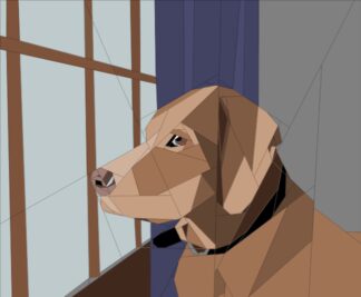 Vizsla