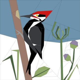 Mar. '18 BoM Woodpecker