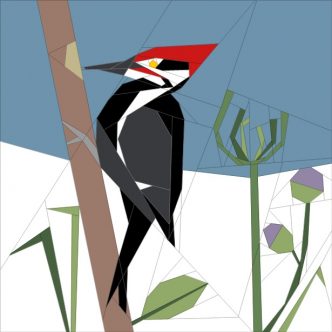 Mar. '18 BoM Woodpecker