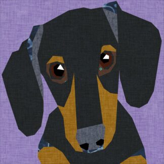 Dachshund