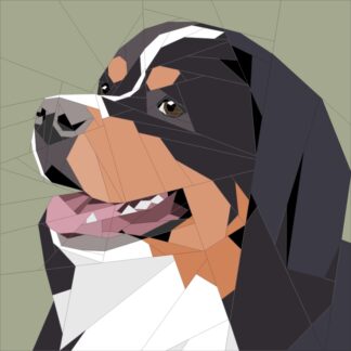 Bernese Mountain Dog