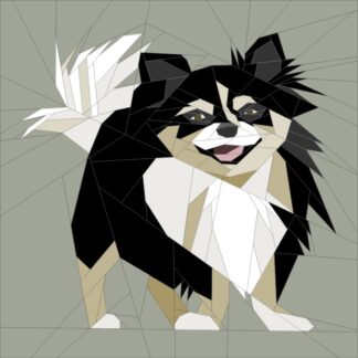 Long Hair Chihuahua #2