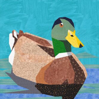 Mallard Duck