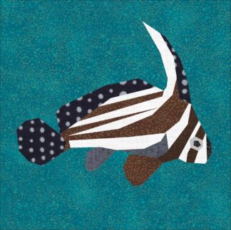 Spotted Drum Fish
